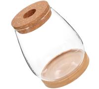 Fioriera in Vaso Idroponico Moderno Per Composizioni Floreali