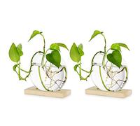 Fioriera In Vetro Da Appendere Da Tavolo Pz Di 2 Stazione Di Propagazione Vaso Moderno Con Boccioli Di Fiori In Legno Supporto Per Piante Idroponiche Talee