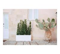 Fioriera Matera Bianco in Polimero Monacis dimensioni 100x40x h 40 cm Capacità 150 Lt adatto interno esterno colore Bianco