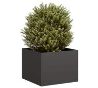 Fioriera Nera 40x40x30 cm in Acciaio - Elegant Flower Pot for Garden Balcony Patio Cold Rolled Steel Raised Planter Box with Open Bottom - Durable Modern Design for Plants Herbs Flowers