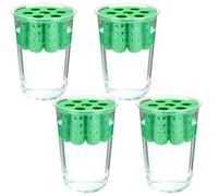 Fioriera per cipolle verdi da interni, contenitore per piantare scalogno, trasparente, riutilizzabile, per coltura, per davanzale, giardino, casa, cucina, angolo patio