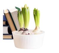 Fioriera per interni, vaso idroponico a 3 fori, facile da pulire, per narciso giacinto, vaso idroponico senza vetro, per casa, ufficio, PP, 15 cm
