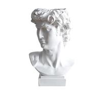 Fioriera per piante grasse con busto romano - Vaso da fiori in resina con testa di David, vaso per sculture artistiche di ispirazione vintage, contenitore decorativo durevole | Home Office Garden Café