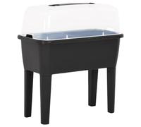 Fioriera Rialzata 77x38,7x82 cm in PP - Raised Flower Bed with Transparent Cover, UV Frost Resistant, 52L Capacity for Garden, Balcony, Indoor Outdoor Use Easy Assembly & Ideal Working Height