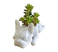 Fioriera rialzata per giardino in resina per cani e piante grasse, mini cuccioli, fioriera a forma di bulldog francesi, carino, bonsai, per casa, giardino, ufficio, scrivania, vaso decorativo per