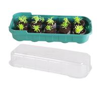 Fioriera riutilizzabile - 10 mini fioriera in plastica | Set di serra trasparente stabile | germinazione di semi precoce | ciotola per la coltivazione del davanzale di piante