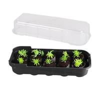 Fioriera riutilizzabile - 10 mini fioriera in plastica | Set di serra trasparente stabile | germinazione di semi precoce | ciotola per la coltivazione del davanzale di piante