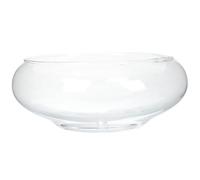 Fioriera rotonda da 15,2 cm, in vetro trasparente, vaso idroponico decorativo per piante grasse/pesci/decorazione per la casa