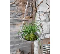 Fioriera shabby chic Isabell da appendere semaforo semaforo da appendere cest...