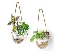 Fioriera sospesa in vetro per piante idroponiche, piante grasse, muschio, tillandsia, decorazione per casa, ufficio, giardino, set da 2