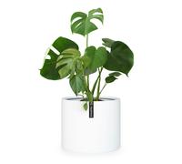Fox & Fern Fioriera, vaso per piante, fiberstone, interni/esterni