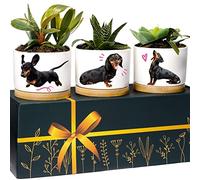 Fioriere bassotto, regalo per donne e uomini, regalo di alta qualità per gli amanti dei cani, regalo per donne, daschund regalo per donne, ottimo regalo per gli amanti del bassotto, set regalo per la