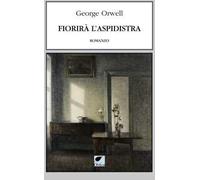 Fiorirà l'aspidistra