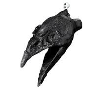 Fiorky Fischio della Morte | Vero fischio della morte azteco urlante | Autentico fischio azteco forte urlante fischio di guerra azteco teschio for Halloween - regali for uomini e donne che