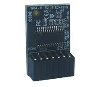 Fiorky for AS"-"US TPM-M R2.0 Modulo TPM 14-1 Pin Modulo TPM (Trusted Platform) LPC 15x25mm for Schede Madri di Computer AS"-"US