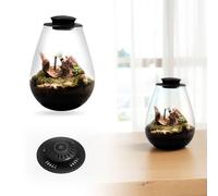 Fiorky LED Coltiva La Luce, Felce Muschio Micro-Paesaggio Coltiva La Luce con Timer Micro Paesaggio Lampada for La Crescita delle Piante 6500K Terrario in Vetro Lampada for Coltivazione di