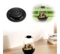 Fiorky LED Coltiva La Luce, Felce Muschio Micro-Paesaggio Coltiva La Luce con Timer Micro Paesaggio Lampada for La Crescita delle Piante 6500K Terrario in Vetro Lampada for Coltivazione di