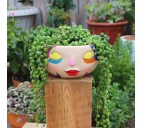 Fiorta per faccia in pentola di fiore unica per la fattoria della sala da tè