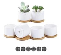Fippy Vasi in ceramica da 8,1 cm, colore bianco, mini vasi per piante grasse, con vassoio in bambù e cuscinetto in rete, perfetti per la decorazione di casa e ufficio, confezione da 6,