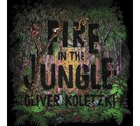 Koletzki Oliver - Fire In The Jungle