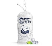 FireKylin 100 sacchetti per ghiaccio con coulisse, riutilizzabili, in plastica, da 2,3 kg