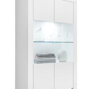 FIRENZE-vetrina 2 ante