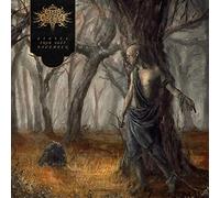 Fires in the Distance - Echoes From Deep November