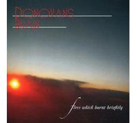 Fires Which Burnt Brightly by Donovan's Brain (2009-10-20)
