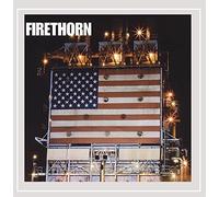 Firethorn - Pollution For The Fountain Of Youth