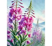 Fireweed Fields: Digital Art | Fireweed Flowers | Journal or Notebook for School, College, Work or Play | Monthly Reflection Pages