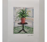 Firmato David Hockney - pianta in vaso - certificato SPADEM Paris