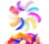 Firschoie 500 Pezzi Piume Colorate, Piume Decorative, Naturali Piuma per Artigianato Fai da te, Matrimonio, Acchiappasogni, Piume per Copricapo, Decorazioni la Casa, Festa di Compleanno 6-12cm