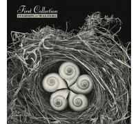 First Collection (1 CD Audio) - Iverson And Walters (Audio Cd)