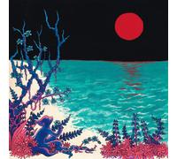 First Glass Beach Album - Clear (Vinyl LP)