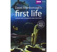 First Life