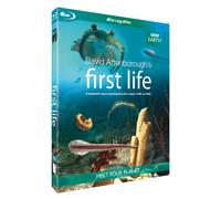 First Life