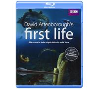 First life - L'origine della vita