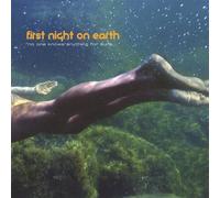 First Night on Earth - No One Knows Anything for Sure
