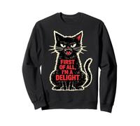 First of all I'm a Delight Roaring Black Cat Lover Funny Felpa