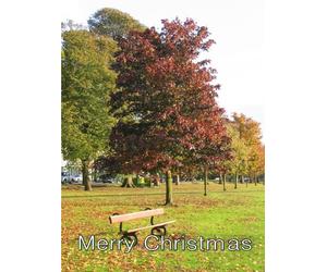 First Spaceship On Venus; Widescreen TV.: Greeting Card: Merry Christmas