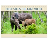 FIRST STEPS FOR BABY MOOSE (Desk Calendar 2026 DIN A5 landscape), CALVENDO 12 Month DeskCalendar: Mother moose protects her baby as he takes his first steps in the forest