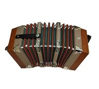 Fisarmonica A Fisarmonica A 20 Pulsanti, Design Ergonomico Elegante E Di Alta Qualità, Tracolla Regolabile E Borsa, For La Pratica Quotidiana Sul Palco