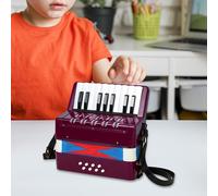 Fisarmonica a piano per bambini con 17 tasti e 8 bassi. Giocattolo per