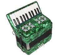 Fisarmonica A Pianoforte A 22 Tasti E 8 Bassi, Esibizione Sul Palco, Tracolla Retrattile E Borsa Portaoggetti, For Gli Amanti Degli Strumenti Musicali(Green)