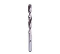 Fisch 013C140110 Profi - Punta elicoidale per legno, 0 V, 14 x 70/110 mm, diametro codolo 10 mm