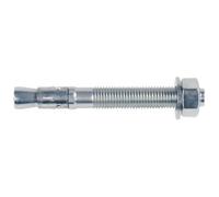 Fischer 40950 Ancoraggio a cuneo FBN II 12/10 106 mm 12 mm 20 pz.