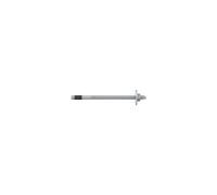 fischer FAZ II Plus 12/160 gvz Bullone Ancoraggio con Rondella Grande, Ancoraggio Heavy Duty con Elevata Capacità di Carico, Bulloni di Ancoraggio per Fissaggio Strutture in Legno, Omologazione