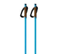 Fischer Bastoncini Storm Gtx L