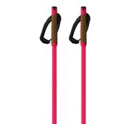 Fischer Bastoncini Storm Gtx M