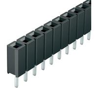 Fischer Bl LP 1 36 S Profilo Basso Forcella Continentale Femminile Testata 1x36